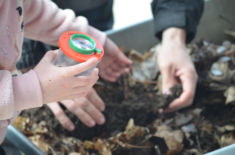 tl_files/dualingo_neu/News 2025 2026/DSC_2011.JPG